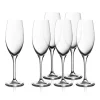 EasyPlus Champagnerkelche, 6 Stück