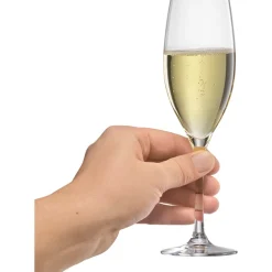 EasyPlus Champagnerkelche, 6 Stück