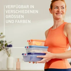 oneClick Frischhaltedosen 3-teiliges Set (3x 0,5 L) N12317