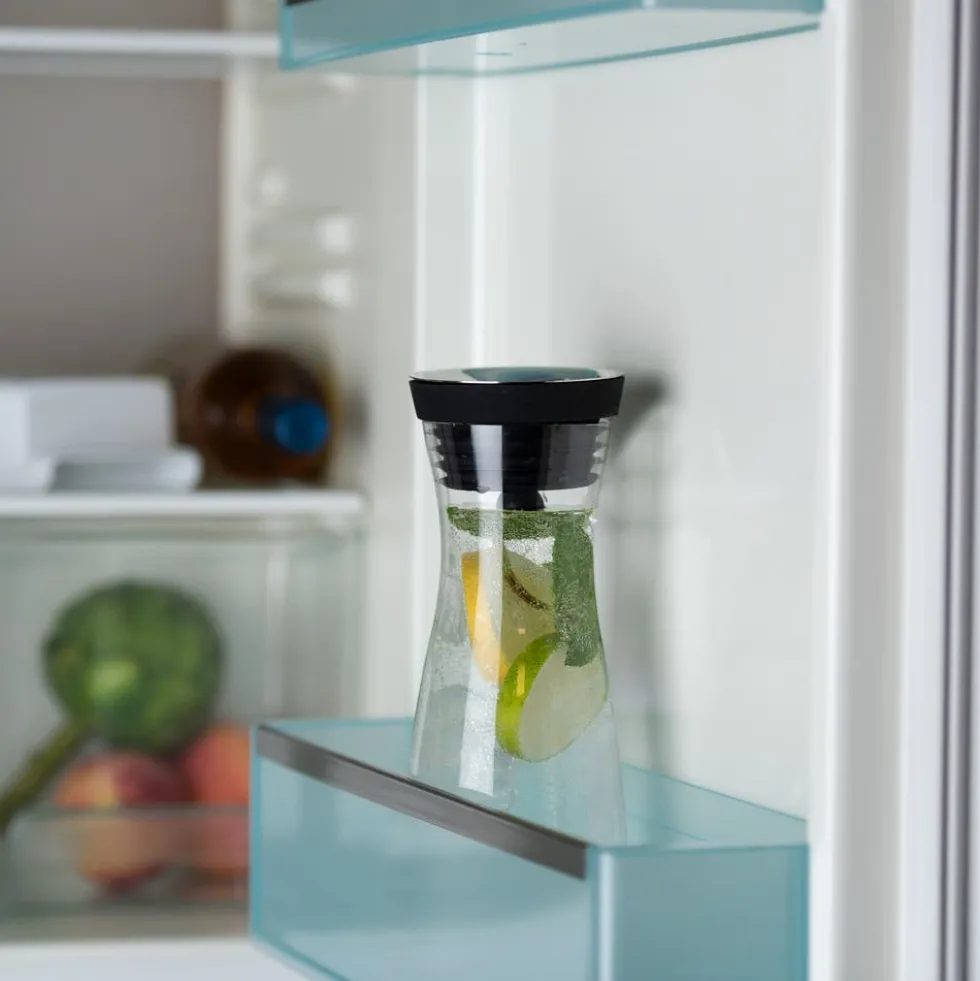 Set: Element One Wassersprudler, Edelstahl mit Wasserkaraffe und Reinigungsbürste