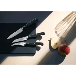 Spitzenklasse Plus Zubereitungsmesser, 10 cm
